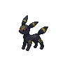 Dark Umbreon